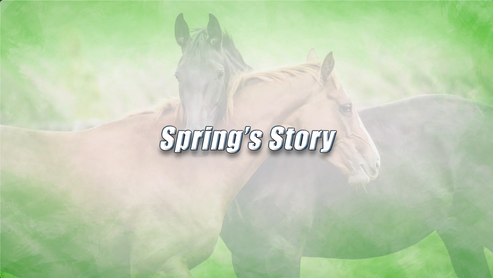 Spring's Equine Story